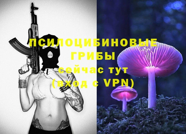 apvp Абаза