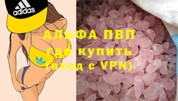 СК Алзамай